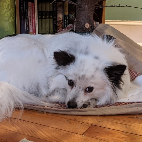 Meet your Posher, Azure - Picture 1 of 1